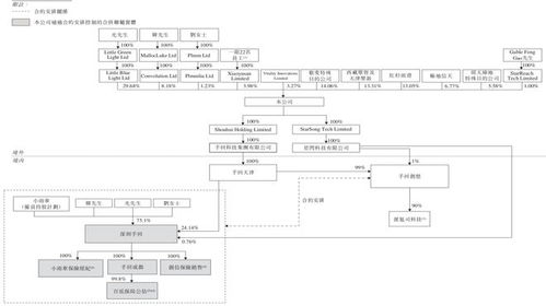 手回科技IPO 6年60倍估值神話背后的隱憂與挑戰